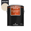 Load image into Gallery viewer, ColorTec Acrylic WB - 1 Gallon